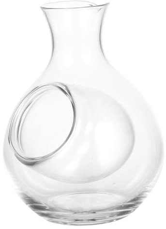 HEALEEP Decanter Di Vetro Per Liquori Bottiglia Di Sakè Per Liquori Decanter Per Vino Distributore Di Vino Ghiacciato Elegante e Pratico