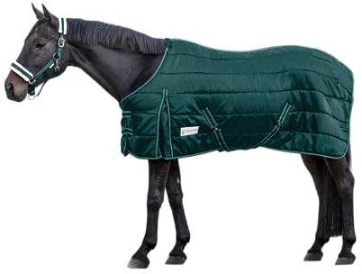 WALDHAUSEN Economic Stalldecke, 100 g, 145 cm, grün