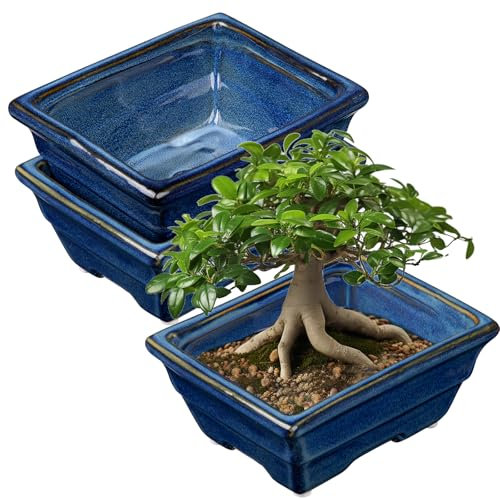 Oairse 2er-Set Bonsai Keramiktopf Bonsaischale mit Entwässerungslöchern für Japanische Bonsai Zimmerpflanzen, Retro-Dekoration für Gartenbehälter-Sets im Freien, Durchmesser Öffnung 16cm