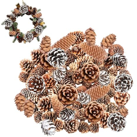 Mienocol 60pcs Christmas Pine Cones Set,Natural Pine Cones for Christmas Wreath Making,7 Style Natural Pines Cones for Home Party Crafts Gift,Xmas Tree,Xmas Flower Arrangements,Wreaths Décor