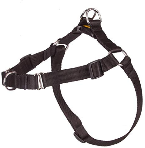 Dingo Hundsele storlek 70 (52–74 cm) bredd 2 cm svart inget drag polypropylen rem anti-drag sele inget drag för din hund bröstsele
