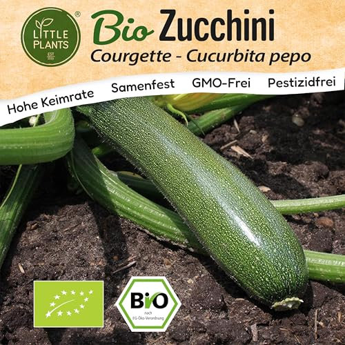 Little Plants BIO Zucchini Samen 10 Zucchinisamen Courgette Gemüsesamen für Gemüsegarten Samenfest Gemüse Samen für Küche, Balkon und Garten
