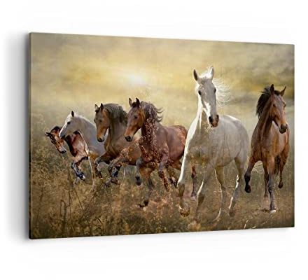 Quadri Moderni Soggiorno cavallo animale natura Quadro su Tela 120x80cm Stampe da Parete Camera da Letto Cucina 1 pezzo Wall Art Canvas Grandi XXL Decorazione Murale Grafica Immagini AA120x80-3640
