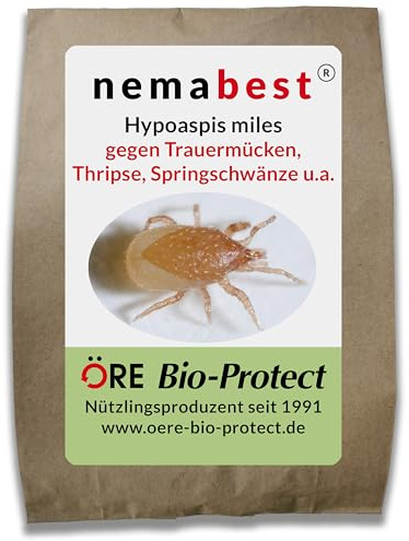 nemabest Hypoaspis miles – 6000 Raubmilben zur biologischen Bekämpfung von Trauermücken, Thripsen, Wurzelläusen und Springschränzen
