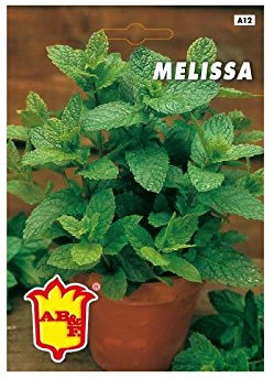 Semi Melissa Erba Offcinale,Mondonatura Srl