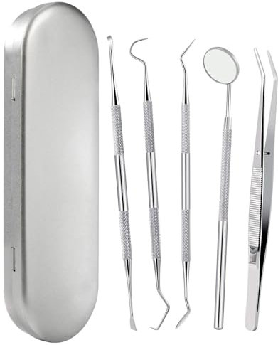 Zeayebsr 5pcs Kit de limpieza higiene dental de acero inoxidable premium, limpiador de placa, removedor de sarro, con estuche, apto Adultos niños y mascotas,limpiador sarro dental,limpieza dental