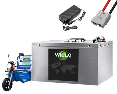 WILLQ 60V 30Ah 40Ah 50Ah 55Ah 60Ah 65Ah 70Ah 80Ah Electric Motorcycle Battery 60 Volts E-Tricycle Replacement Lithium-ion Battery with BMS Protection Board,60V,60AH