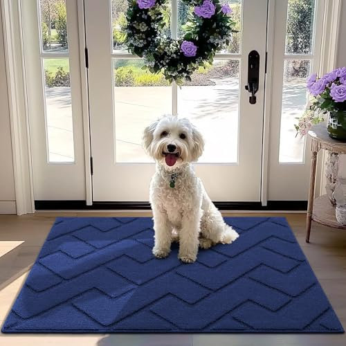 Biscpro Door Mat, 80x120 cm DoorMat Indoor Washable, Doormat Indoor Dirt Trapper Non-slip,Absorbent Inside Entrance Rug Mat for Entryway,Patio,Garden,Laundry Room,Pets - Navy Blue