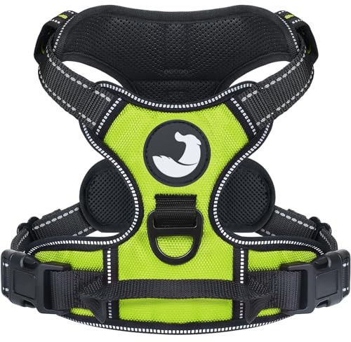 Joytale Anti-Traction Harnais Grand Chien, Vert, L