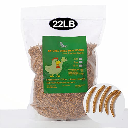 Euchirus 22LBs Non-GMO Dried Mealworms,High-Protein Larvae Treats Feed Molting Supplement for Birds Hens Ducks etc,Large Bulk Meal Worms Birds Chicken Food