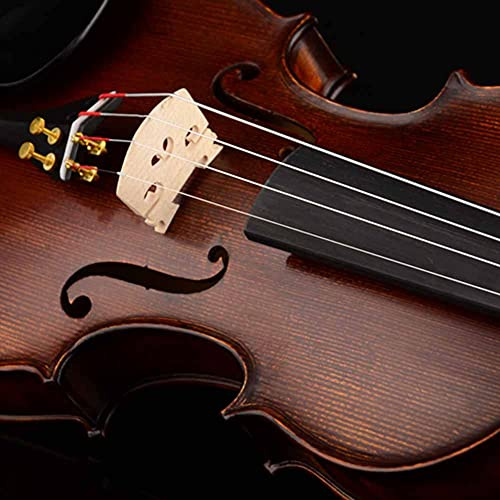 Juroupi 5 Pezzi di Ponte per Violino in Legno di Acero Premium, Accessorio per Violino per Studenti di Strumenti (Set di cinque scale per violino 1/8)