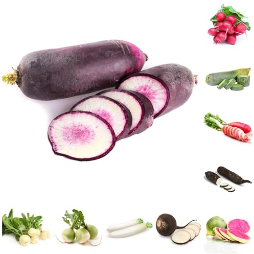 semillas de rábano orgánico resistentes, rábano resistentes para jardín invierno, 25pcs