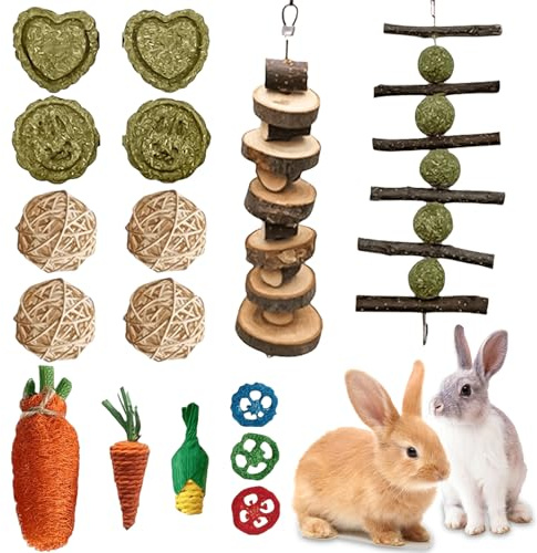 Molbory 16 giocattoli da masticare per conigli, accessori con bastoncini di mela, bastoncini di fieno timothy, piccoli animali molari, cura dentale per criceti, porcellini d'India, pappagallo