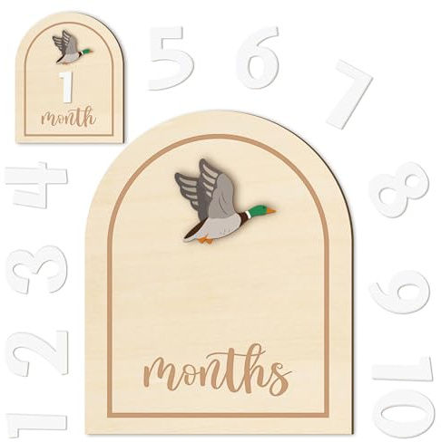 R HORSE Baby Monthly Milestone Cards, 14Pcs 3D Mallard Duck Wooden Monthly Milestone Discs with Number Cards, Newborn Months Signs Announcement Baby Shower Photo Props Gifts for Girls Boys
