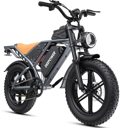 DEEPOWER QS7 Bicicleta Eléctrica, Batería Extraíble 48V 60Ah/35Ah/20Ah, Autonomía 110-250KM, Motor con Par 120N·m, Neumáticos Anchos 20'' x 4.0, 7 Velocidades, Suspensión Hidráulica Completa