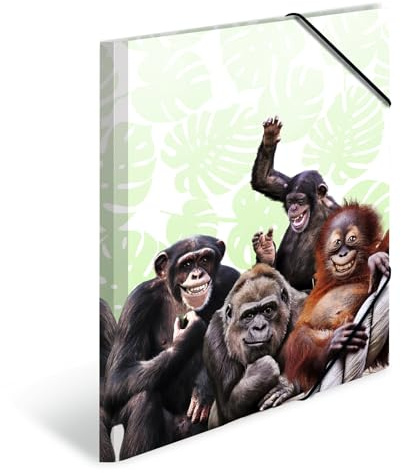 HERMA 19960 Carpeta de dibujo Animales exóticos con motivo de Pandilla de monos, A4, plástico resistente, con impresión interior, carpeta de 1 palmo