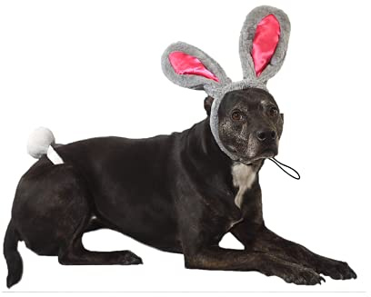 Midlee Easter Bunny Gray & Pink Rabbit Ears for Large Dogs Headband with Tail