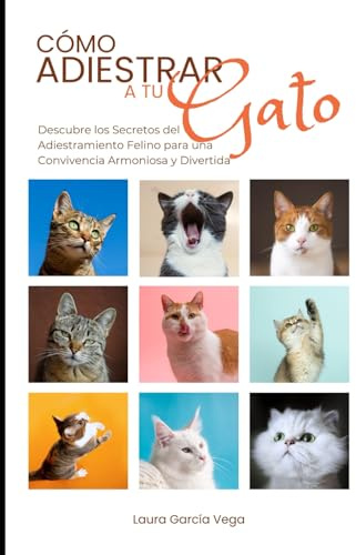 Cómo Adiestrar a Tu Gato: Descubre los Secretos del Adiestramiento Felino para una Convivencia Armoniosa y Divertida (Todo para Tu Mejor Amigo)