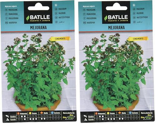 Graines aromatiques de Batlle - Marjolaine/Origan des jardins (Seeds - 40cm) (Lot de 2)