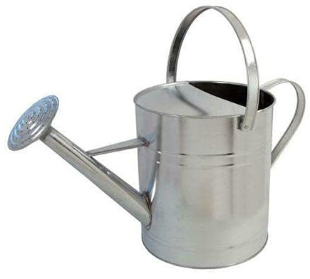Srendi 9/10L 9/10 Litres / 2 Gallon Garden Plant Flower Galvanised Metal Steel Watering Can with Rose