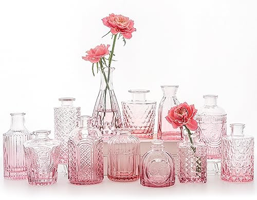 SUPMIND Set di 12 vasi in vetro, piccoli vasi per fiori per centrotavola, vasi rosa alla rinfusa, mini vaso vintage per decorazioni rustiche per matrimoni