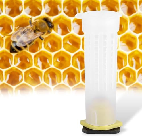 ZJchao Juego de 50 Tazas de Cría de Reina de Apicultura, Jaulas de Abejas y Herramienta de Rodillo para Equipos de Apicultores (ZJchaov4xzg9yfdh-01)