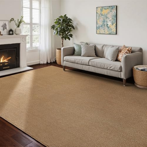 CHAMPLANT Washable Area Rug 4x6 Feet Brown Non Slip Living Room Kitchen Rugs Indoor Entryway Rug Floor Carpet for Dining Living Room Bedroom