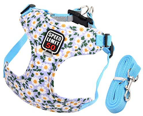 Hundegeschirr mit Leine, Air-Mesh Atmungsaktiv Brustgeschirr, Katzengeschirre Reflektierend, Weich Gepolstert Hunde Geschirr, Verstellbare Welpengeschirr für Kleine Mittel Haustiere (Blau)