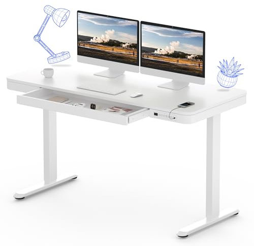 FLEXISPOT Comhar EW8W Electric Standing Desk Home Office Electric Height Adjustable Standing Desk Sit Stand Desk with 120 * 60cm White Wood Top, White