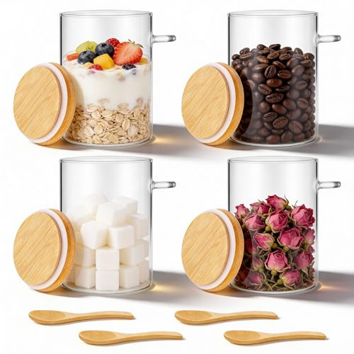 Hejo 4 Piezas Tarros de Vidrio con Tapa Hermética Cuchara, 500ml/17oz Botes Cristal Cocina, Frascos de Vidrio, Bote Cristal para Almacenar Alimentos Como Avena, Ensalada, Yogur, Té, Café y Azúcar