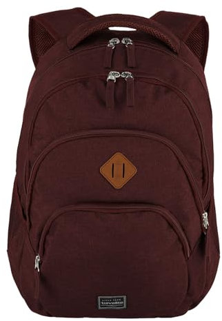 Travelite Handgepäck Rucksack, Laptop Rucksack 15,6 Zoll, BASICS, Daypack, Tagesrucksack mit vielen Fächern, 45 cm, 22 Liter