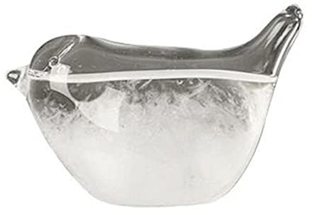 HXSCOO Mini Desktop Tempesta Vetro Uccello Previsione Decorativo Cristallo Acqua Predittore meteorologico Office Desktop Home Decor (Color : B)