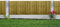 Capped Feather Edge Pack of 3 6x2ft (W: 6ft x H: 2ft) Decorative Pressure-Treated Semi-Braced Garden Fence Panel Closeboard Style Overlapping Boards Rough Sawn Width 1828mm x Height: 600mm