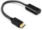 Annlpoy Adaptateur DisplayPort vers HDMI 4K, Convertisseur DP Mâle vers HDMI Femelle, Compatible avec Audio - Idéal pour Présentations et Stations de Travail