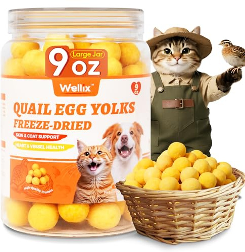 Wellix Freeze-Dried Quail Egg Yolk - Healthy Cat Treats for Skin & Coat 9oz