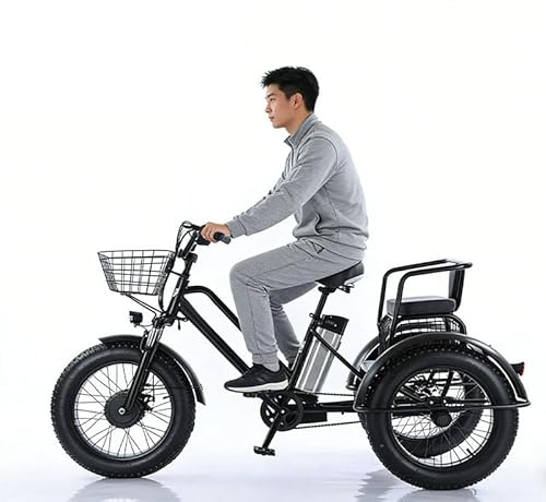 WEIMILOR Bici elettrica da carico con pneumatici larghi da 20'', triciclo elettrico per adulti - carico 200 kg, batteria rimovibile 48v/12ah - autonomia 35 km, per pendolarismo e viaggi
