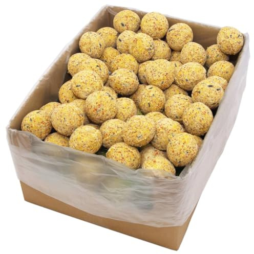 Teenpull tisdumplings 200 stycken 90 g fet fågelmat med solrosfrön och kornblandning, foder av vilda fåglar för vinterfoder, året-runt-utfodring