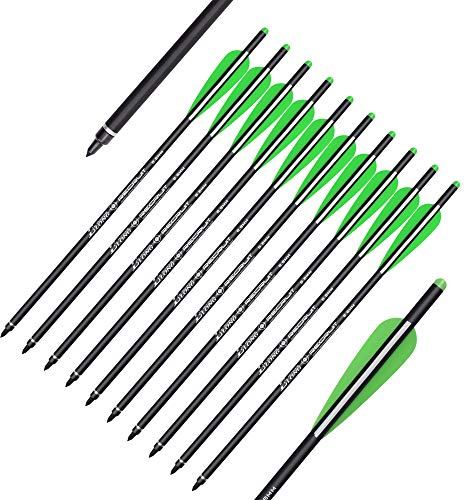 ELONG OUTDOOR 12 pezzi Bulloni per balestra in carbonio 16 Frecce per tiro con l'arco da caccia con punte per frecce di ricambio da 100 grani Punta Moon Nock