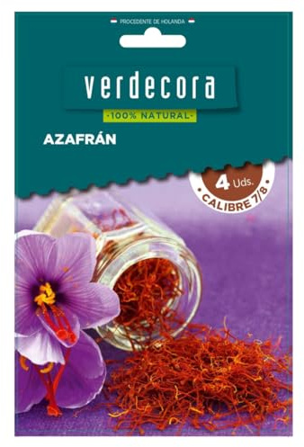 Verdecora Bulbos de Azafrán (4 uds) | Crocus sativus | Planta Natural de Otoño | Ideal para Jardines y Huertos | Cultivo de Azafrán en Casa (PORTES INCLUIDOS)