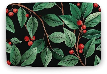 Badematte, frische rote Beeren, saugfähiger Badezimmerteppich, Korallen-Samtteppich, Duschmatte, schnell trocknend, Badezimmer-Bodenmatte, rutschfestes Fußpolster für Badewanne, 60 x 40 cm
