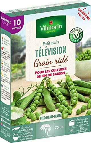 Vilmorin Pois télévision boite série 10m