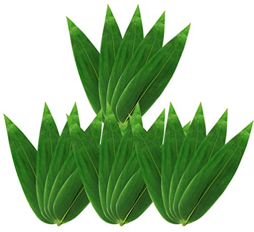 100 Stück Sushi-Bambusblätter, frische Bananenblätter zum Kochen, Zong Zi, Bananenblätter, Ersatz für Sushi-Teller, Dekoration für Lebensmittel, chinesisches Abendessen