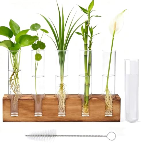 Jarrón Hidropónico De Madera Tubo para Plantas Hidropónicas Stazione Di Propagazione con Soporte De Madera y Cepillo, Decoración para Casa, Oficina y Patio