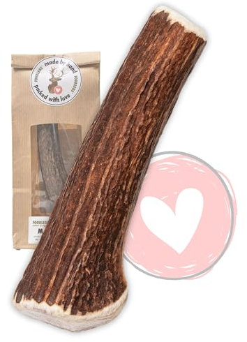 FOURLEGS® natürlicher Kausnack für Hunde aus 100% Hirschgeweih - Mineralstoffe, Kauspielzeug, Kaustange, Wildgeschmack, Geweih, Knochen, Hirsch, Kauartikel - Größe L ganz