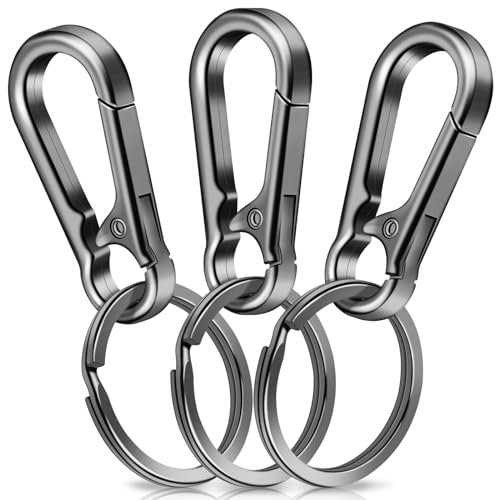 3 Stück Karabiner Schlüsselanhänger,Caianwin Karabinerhaken Klein Metall Schlüsselkarabiner,Schlüsselring mit Karabiner für Aufhängen im Rucksack, Autoschlüssel
