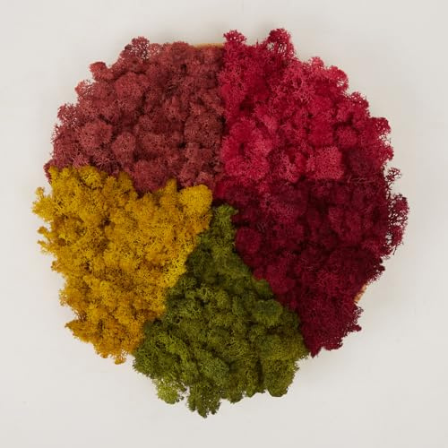 Prefleur Preserved Reindeer Mix Craft Moss Natural Green DIY Kit Gardenning Art Wall Decor Florist Easter Table Decor Wedding Decor (1lb)(Green-11 Sunflower Fuchsia Brick-Red Burgundy)(Style-4)