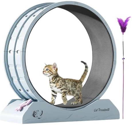 Rueda de ejercicio para gatos – Cinta de correr para gatos de 31.5 pulgadas | Equipo de entrenamiento silencioso para gatitos | Rueda de correr con base reforzada mejorada y pista de correr alfombrada