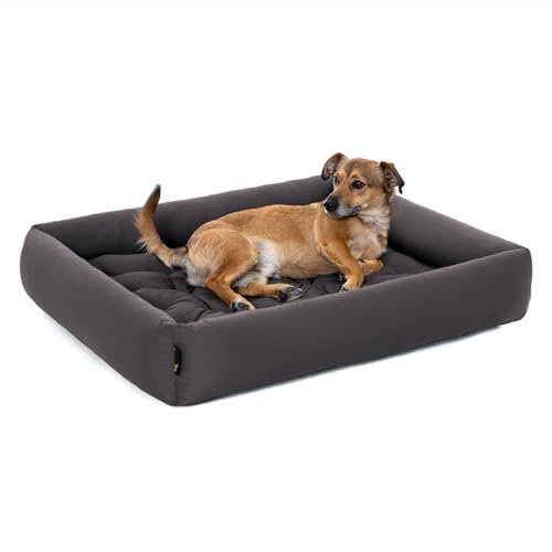 Pointer | Hundebett Mittelgroße Hunde - Orthopädisches Hundebett mit Herausnehmbarer Matratze, Waschbar bis 95°C, Trocknergeeignet, Kratzfest & Bissfest, Made in Germany (L - 80x70 cm, Anthrazit)