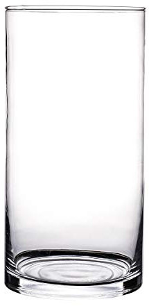 Vaso di vetro KnikGlass, vaso di fiori di vetro, vaso di fiori decorazione vaso di vetro, vaso trasparente (A, 25 cm x 12 cm)