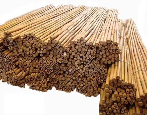 Tutor bambú tailandés 1,8 m. de Altura, diametro 20-22. Pack de 50 Unidades. Tutores Resistentes válidos para Todo Tipo de Plantas.